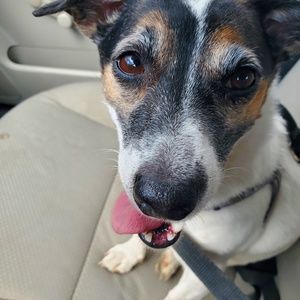 Meet your Posher, Susan